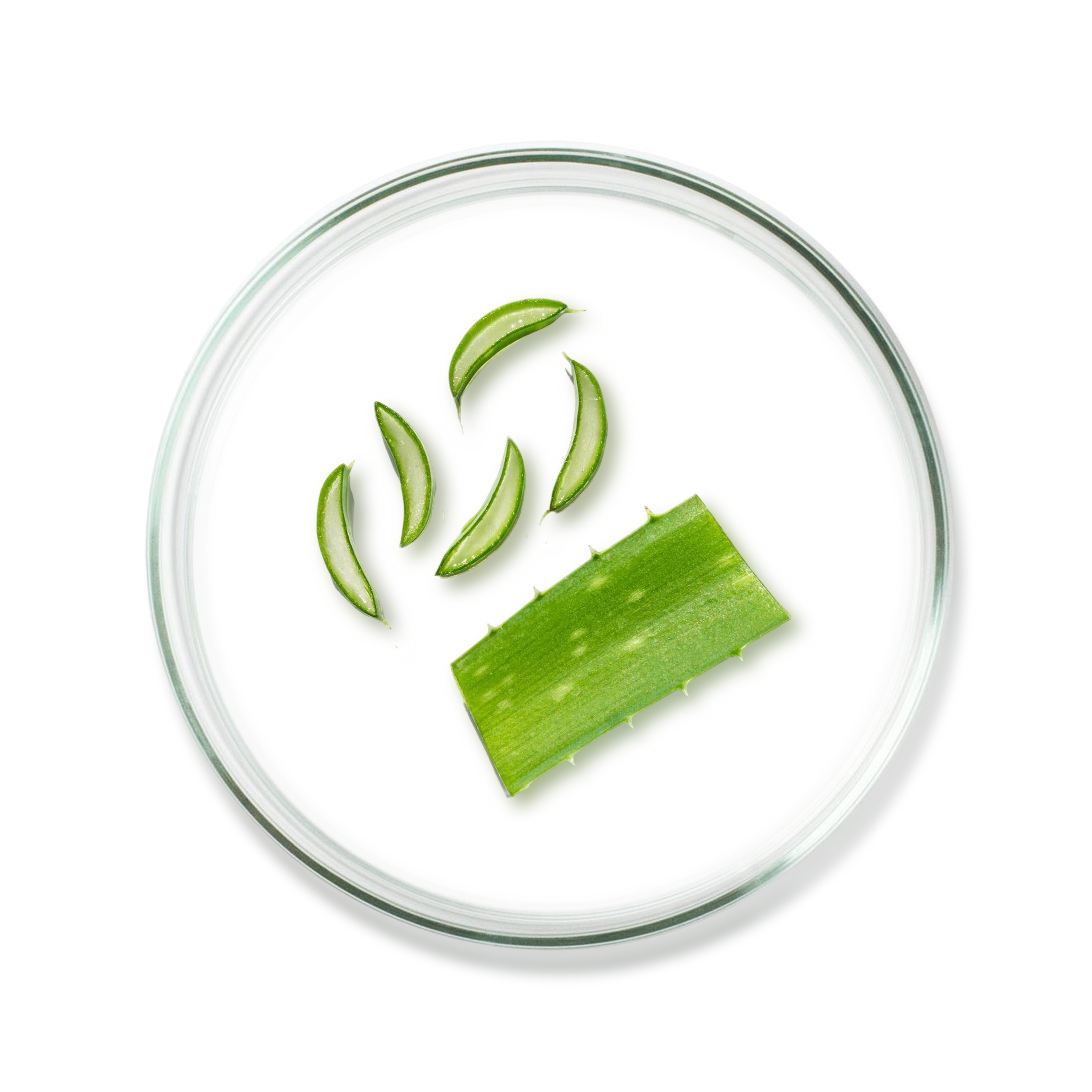 Aloe Vera Extract