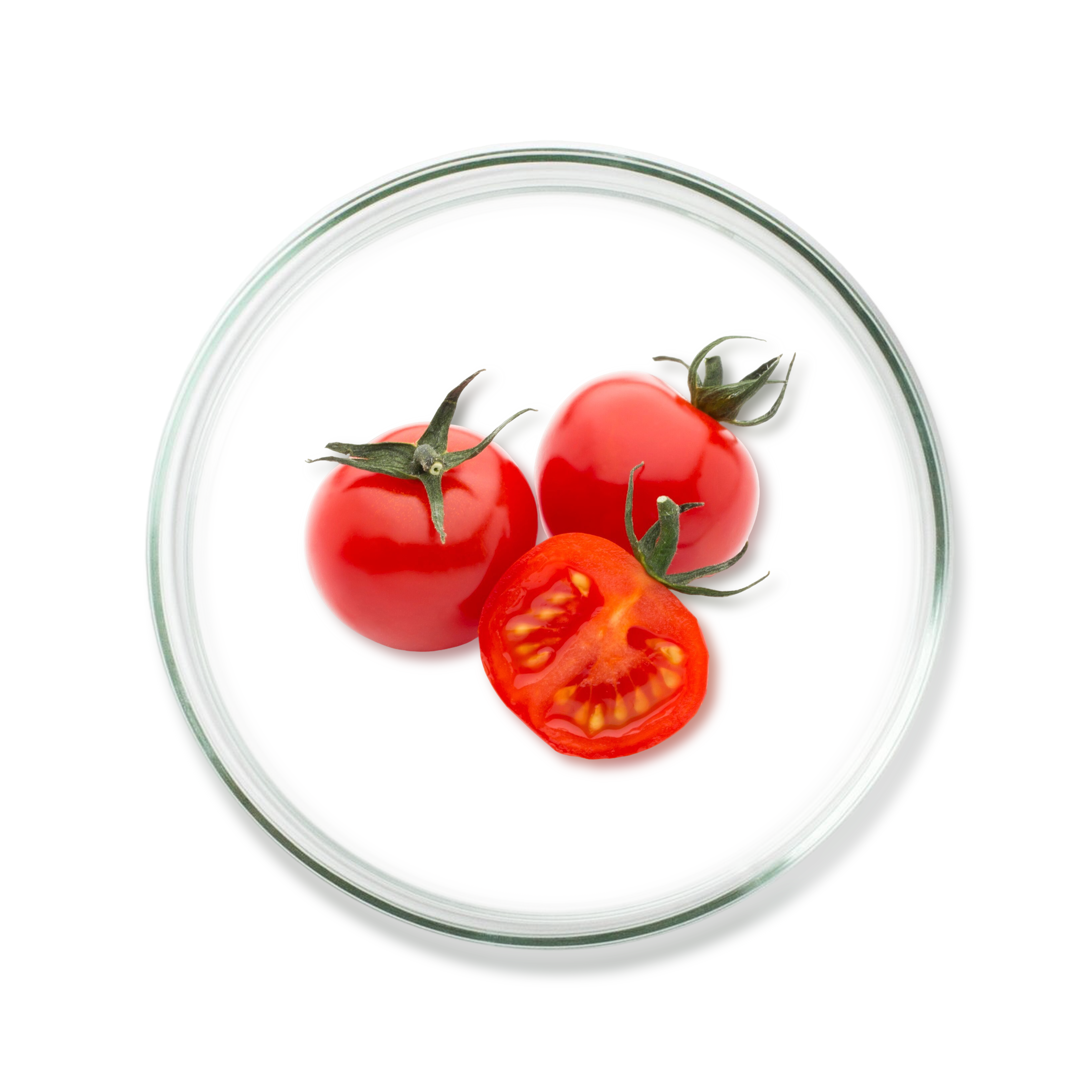 Lycopene Oil Extract