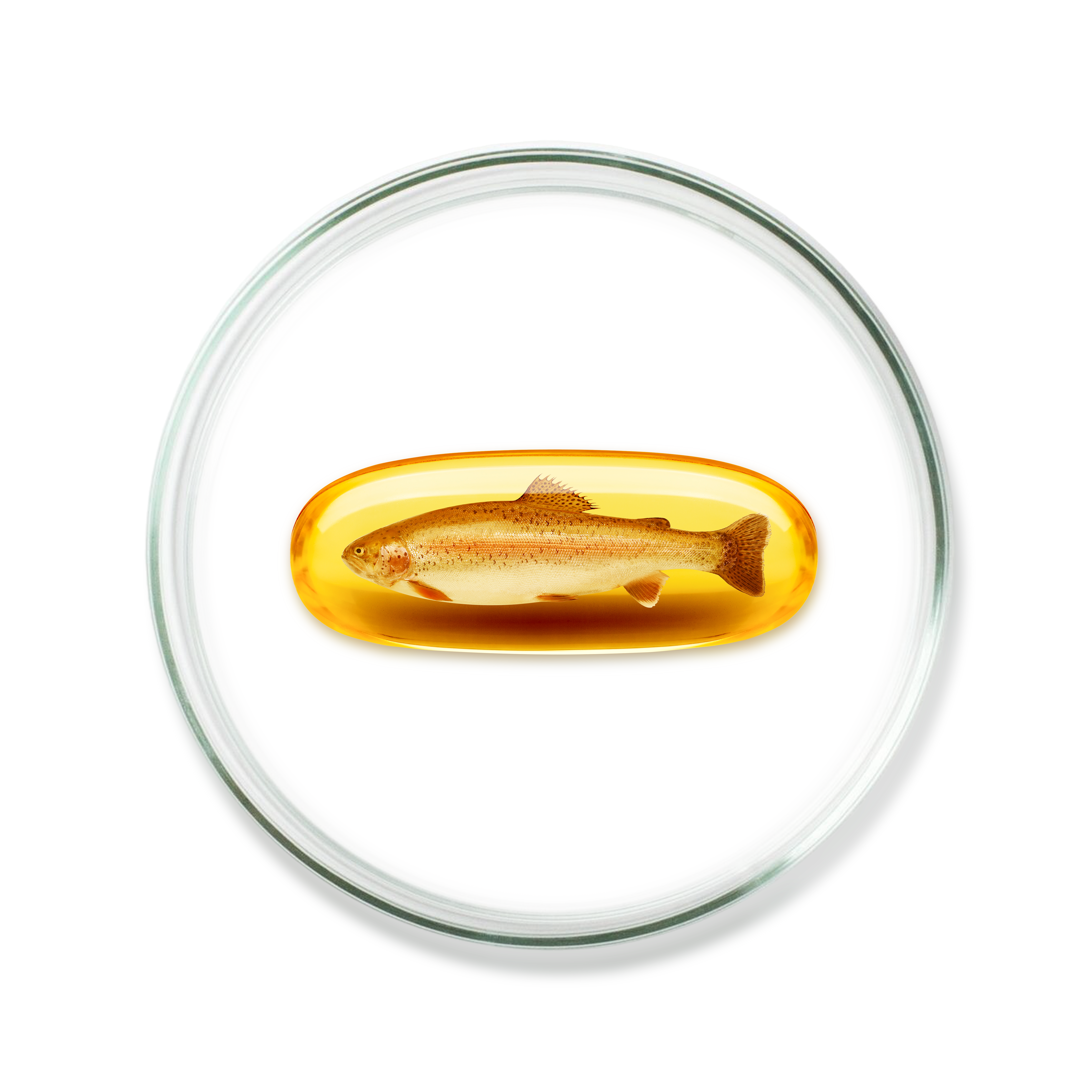 NZ Marine Collagen Extract