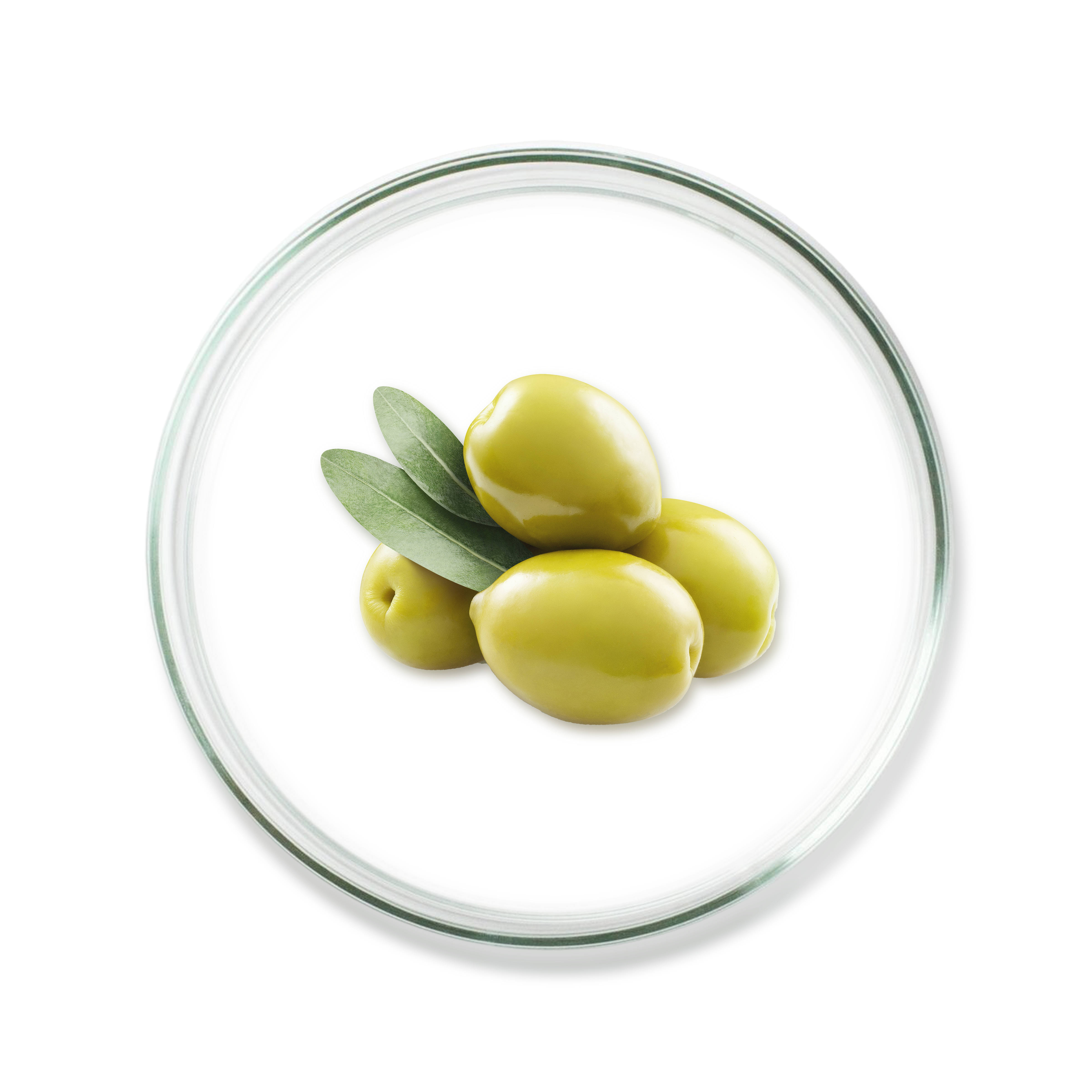 Olive Oil