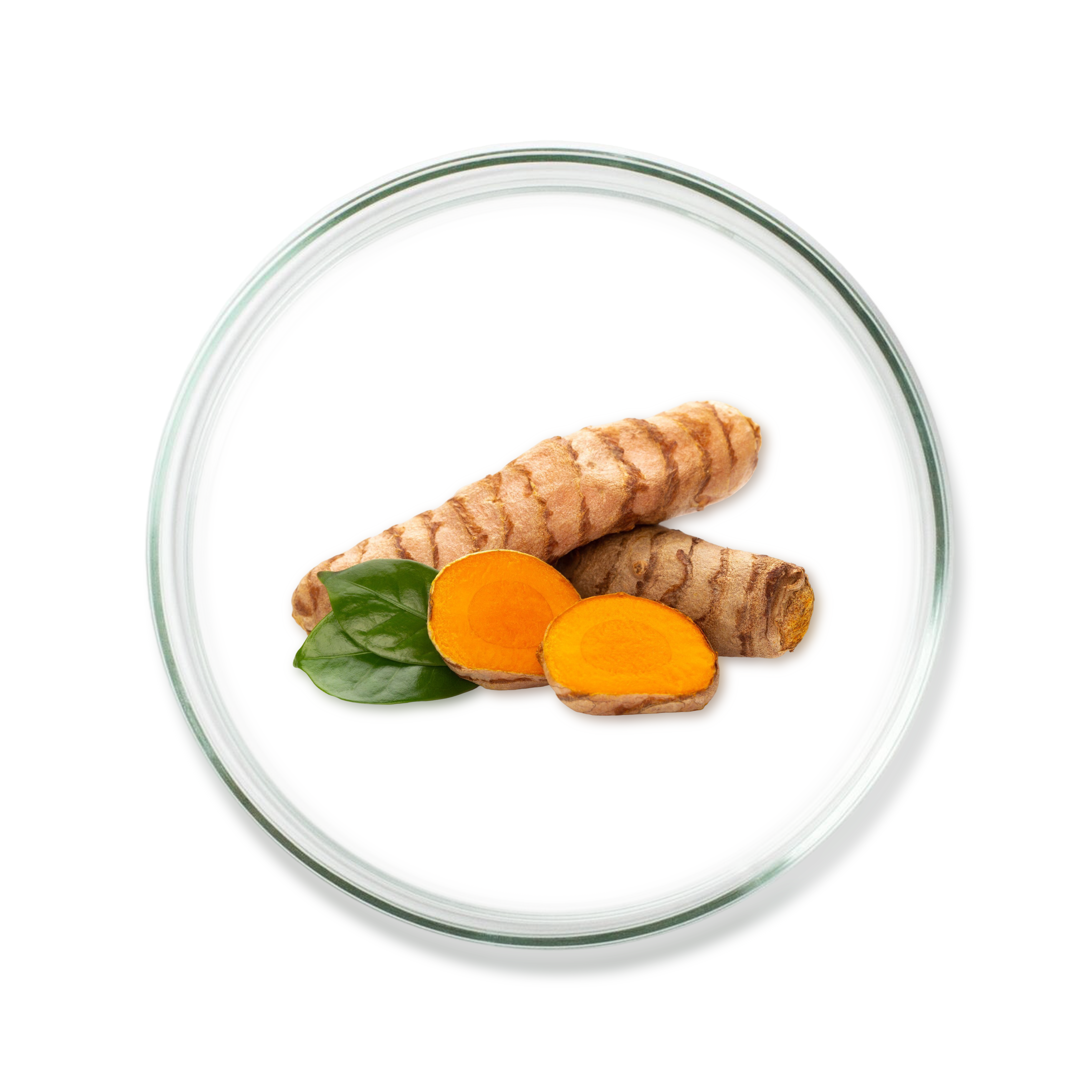 Turmeric Rhizome Extract