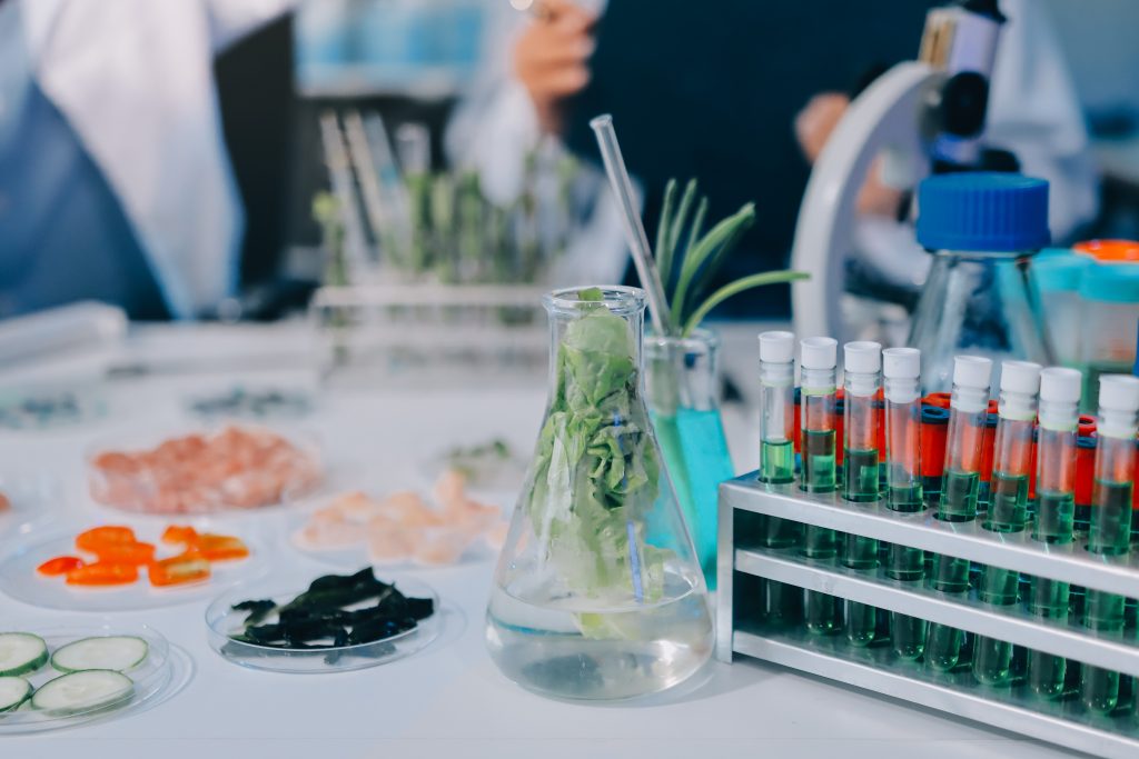 Deer Placenta Supplement Ingredients Guide: What Common Formulas Include