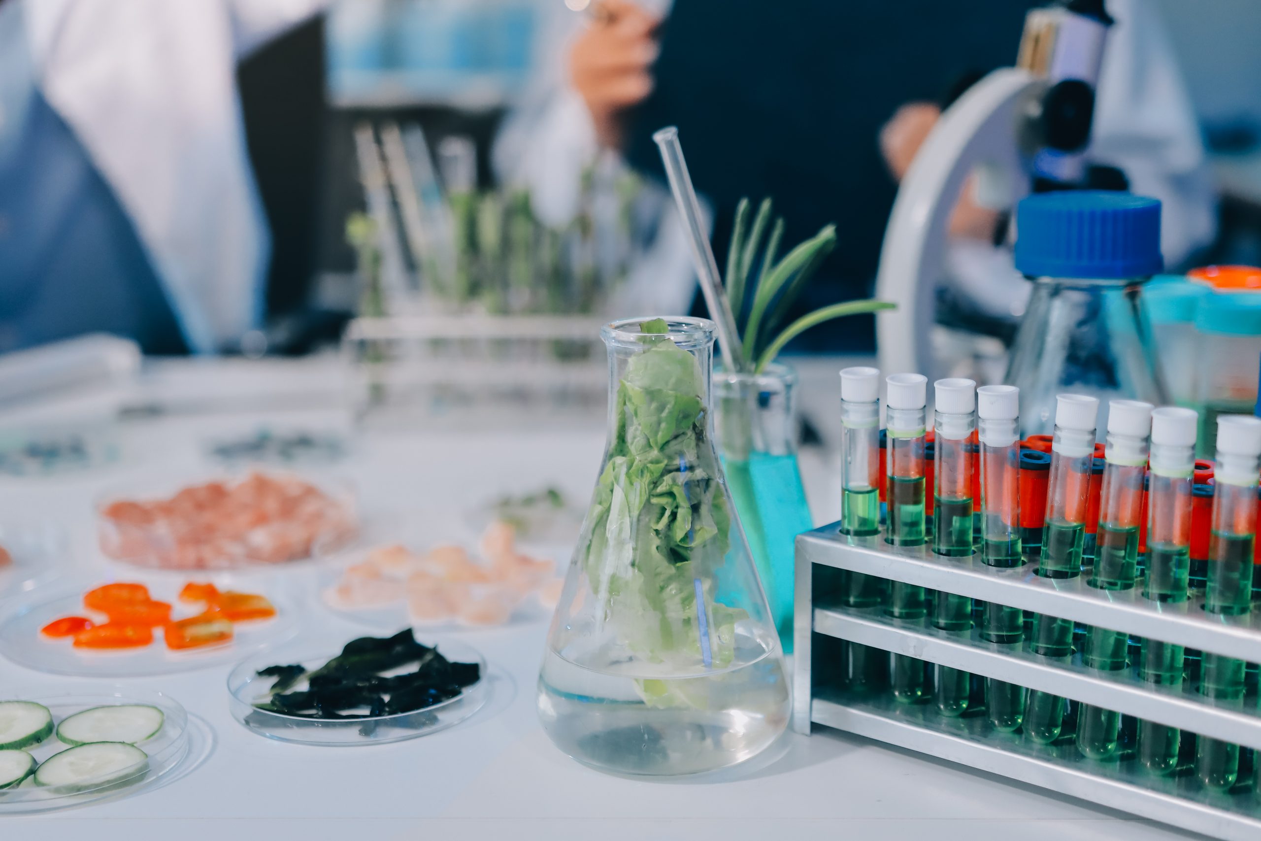 Deer Placenta Supplement Ingredients Guide: What Common Formulas Include